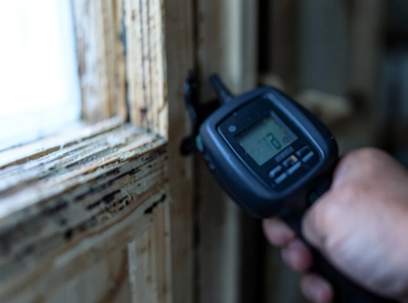 Commercial Water Damage Restoration in Walsh, CO